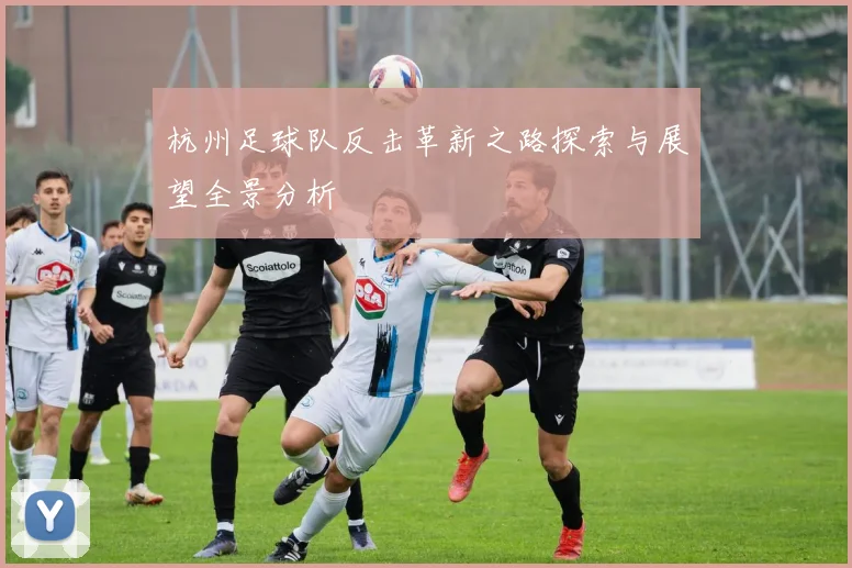 杭州足球队反击革新之路探索与展望全景分析