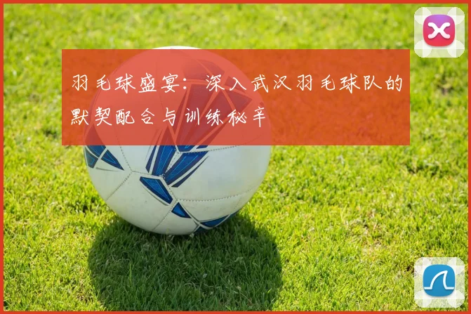 羽毛球盛宴：深入武汉羽毛球队的默契配合与训练秘辛