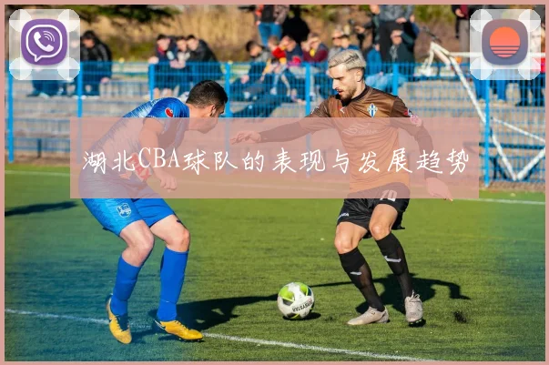 湖北CBA球队的表现与发展趋势
