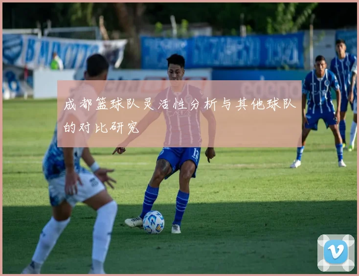 成都篮球队灵活性分析与其他球队的对比研究