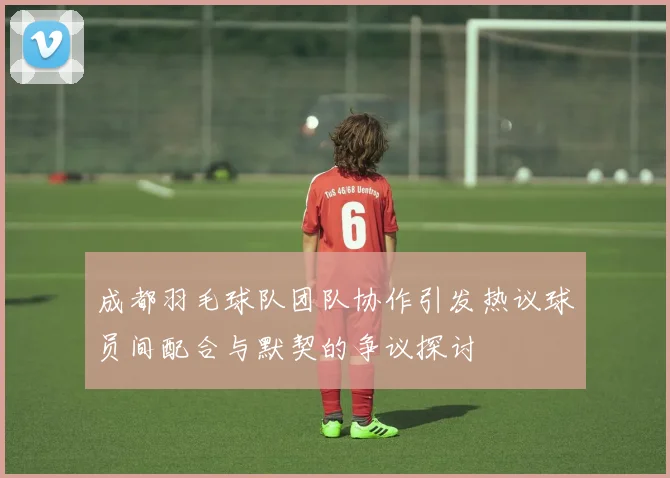 成都羽毛球队团队协作引发热议球员间配合与默契的争议探讨