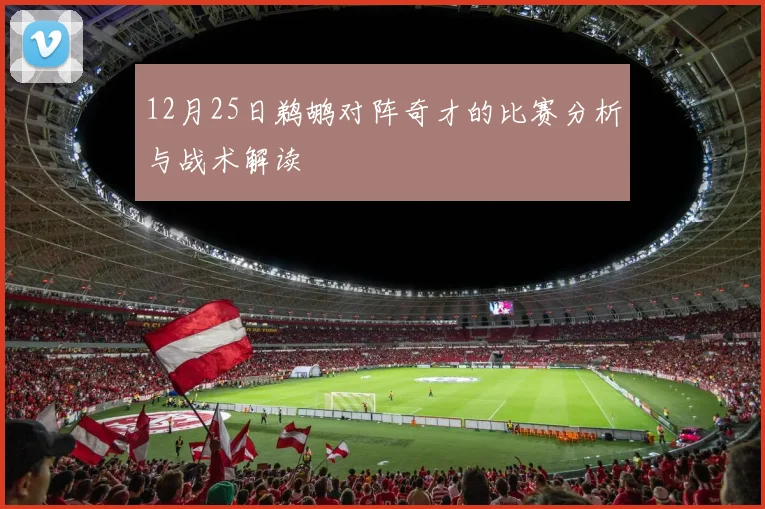 12月25日鹈鹕对阵奇才的比赛分析与战术解读